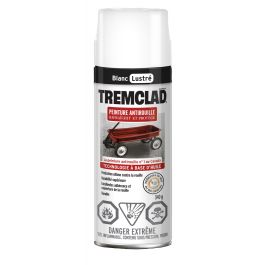 Rust-oleum Spray Anti-Rust Paint Oil-Based, Gloss Finish, 340 G