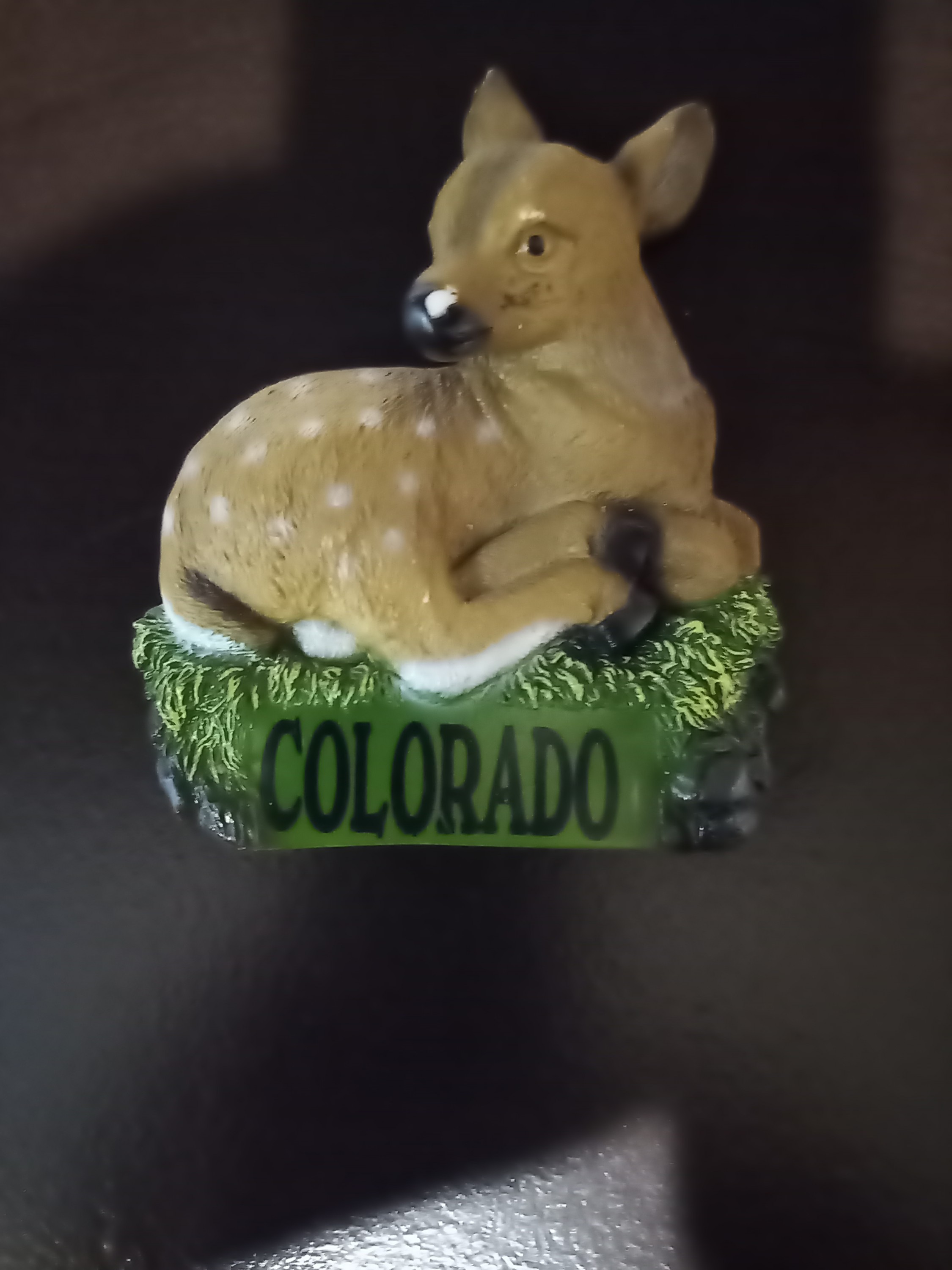 Colorado Deer Bamby Fridge Magnet x Rare!!!!!