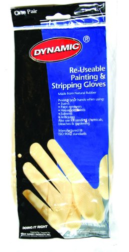 Dynamic Paint AF002806 Painting and Stripping Gloves, One Pair